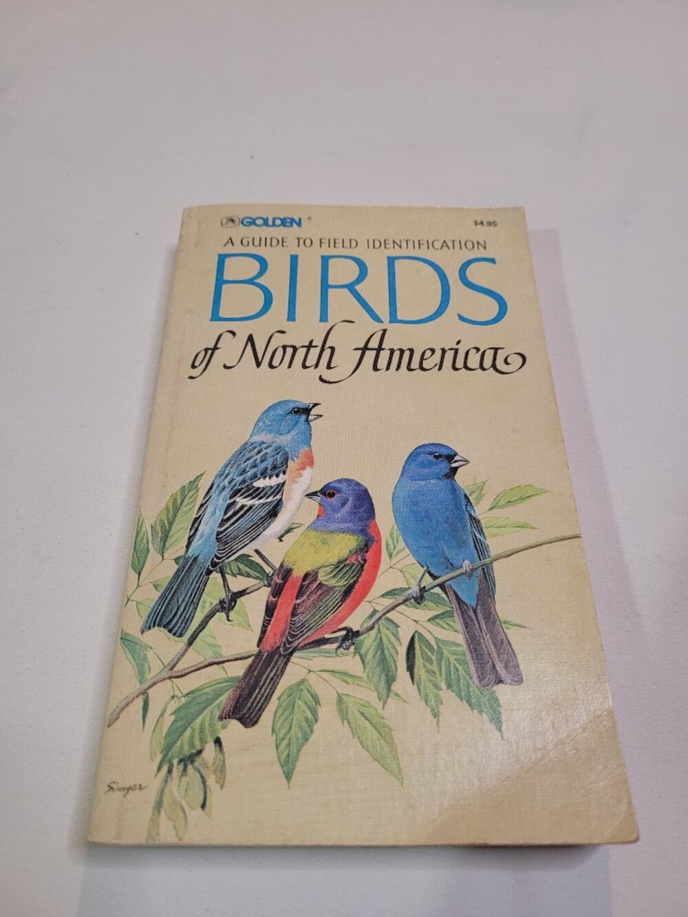 Birds of North America Vintage Bird Identification Field Guide Paperback